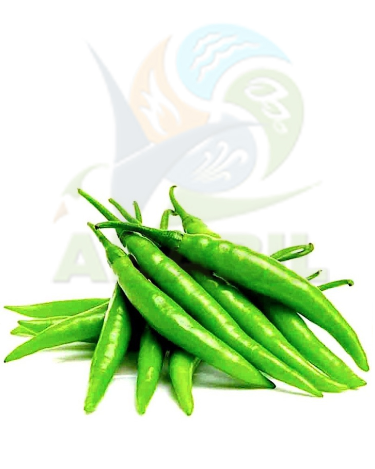 chilli_main chilli_main