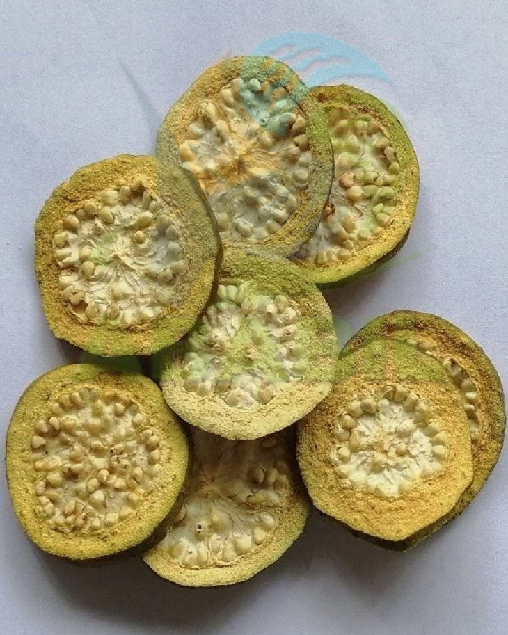 de_guava_main de_guava_main