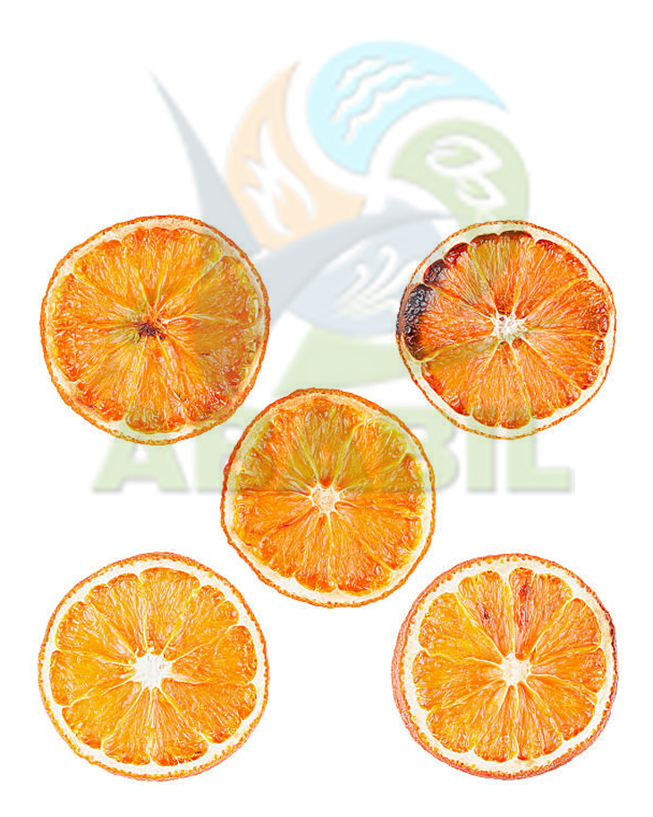 dorangei_main dorangei_main