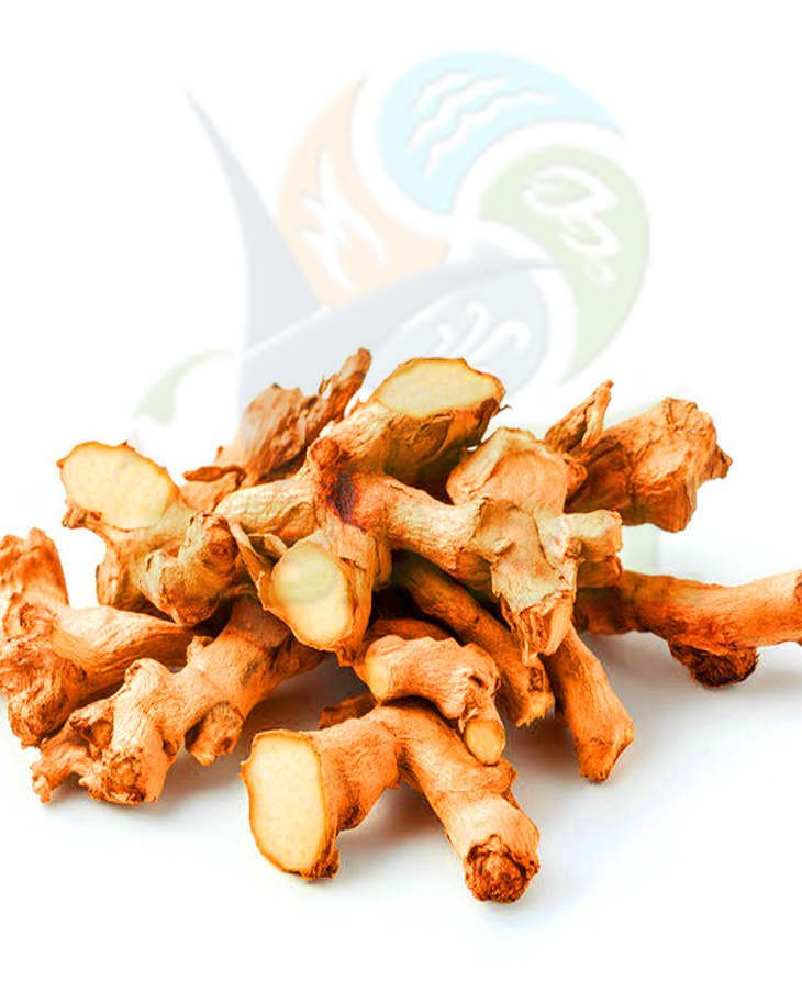 ginger_main ginger_main