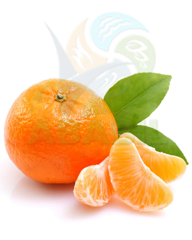 orange_main orange_main