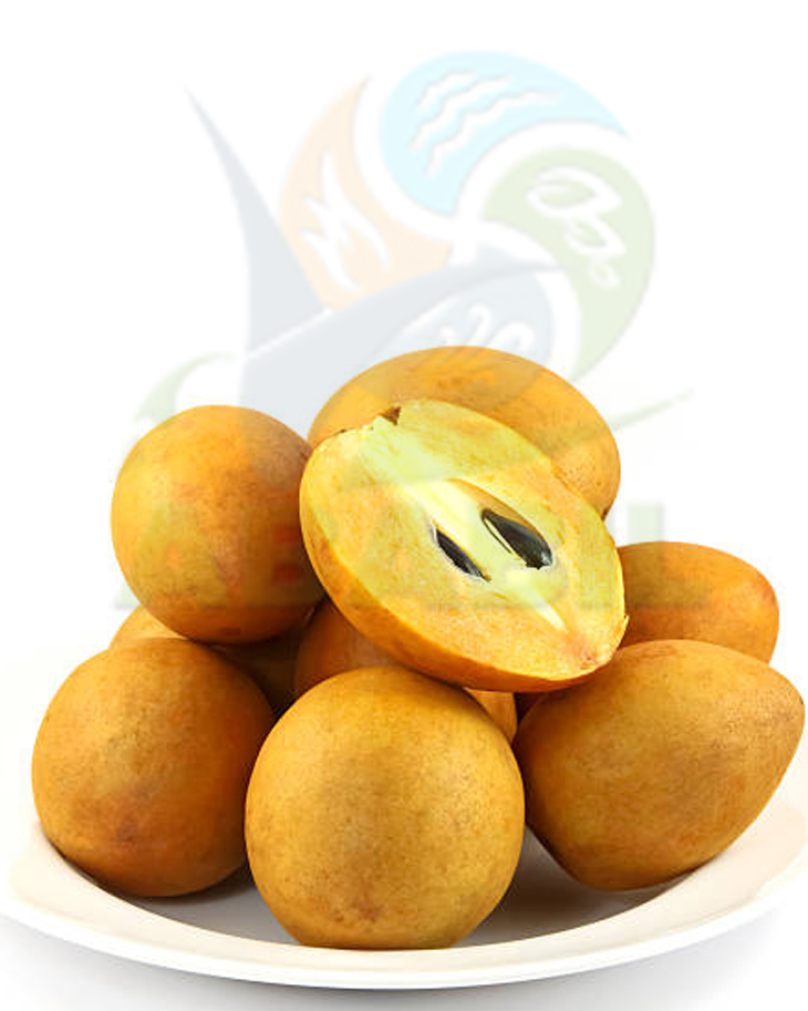 sapodilla_main sapodilla_main