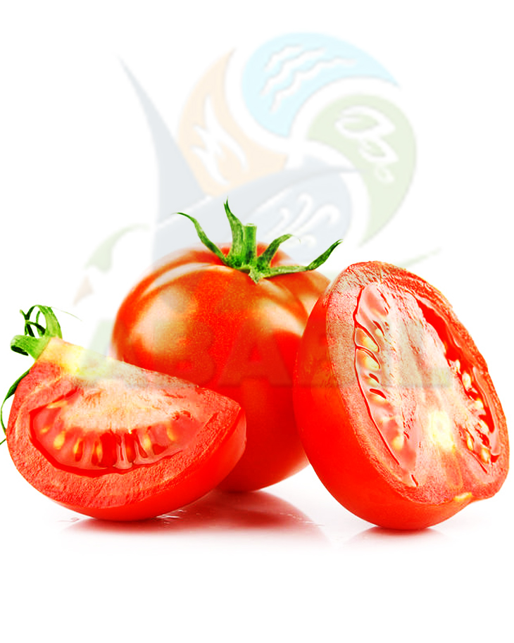 tomato_main tomato_main
